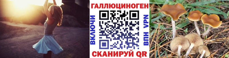 Галлюциногенные грибы MAGIC MUSHROOMS  OMG зеркало  Мостовской  сколько стоит 